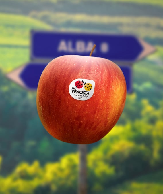 Ein Schatz voller Geschmack