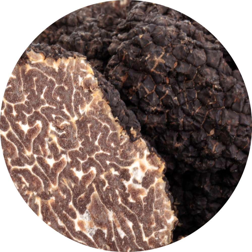 Tartufo nero d'Alba