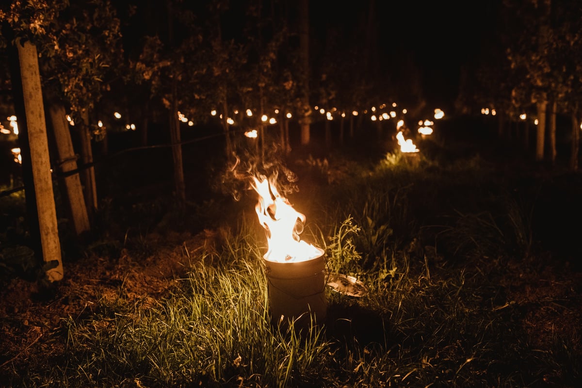 Klang im Lichtermeer zwischen den Apfelbäumen