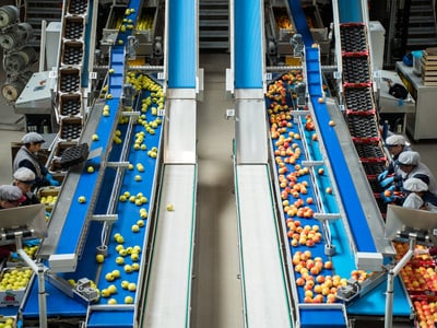 Tag der Offenen Tür