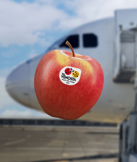 Insel intensiver Aromen