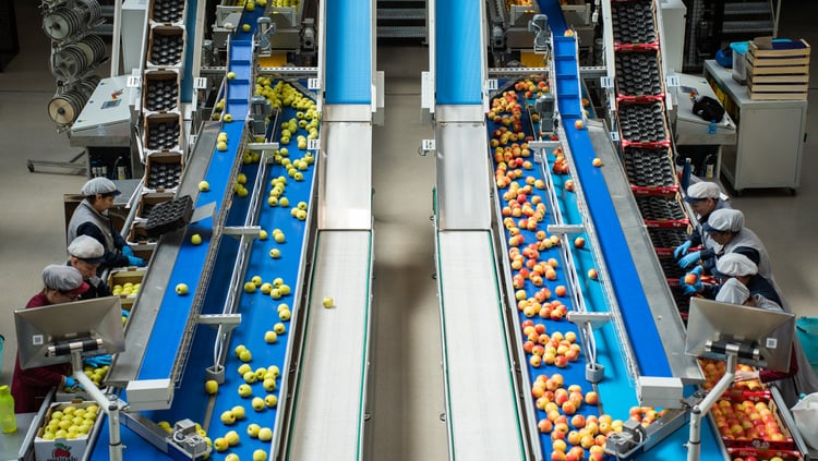 Tag der Offenen Tür der Vinschger Obstgenossenschaften