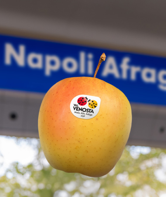 La terra dei profumi autentici