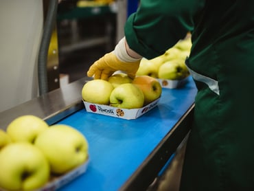 Assistent Leitung Verpackungsraum (m/w/d)