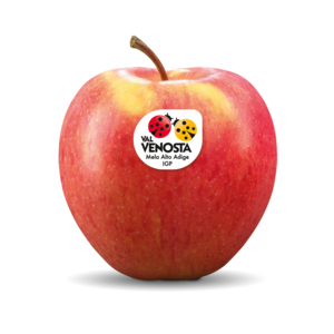 Pinova