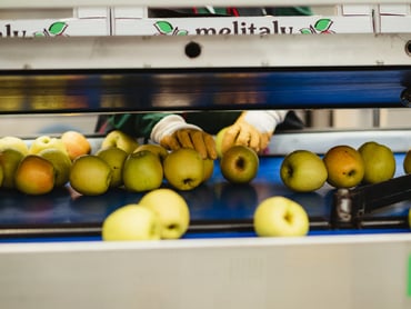 Assistent Bereichsleiter Verpackungsmaterial (m/w/d)