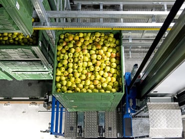 Assistent Bereichsleiter Verpackungsmaterial (m/w/d)